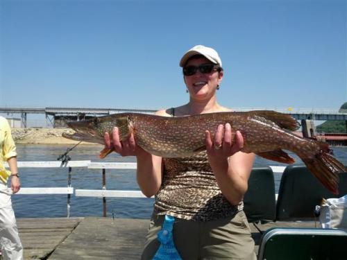 nice northern pike caught by guest at rutting ridge motel